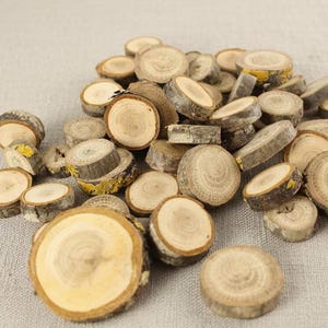 Set of 100 tiny wooden slices. 0,4" - 1,2" slices. small wooden slices. set of 100 wooden slices. mini wooden slices.
