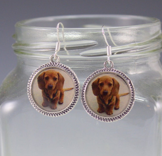 Dachshund Dog Puppy Earrings 3d Red Brown Picture Short Haired Etsy