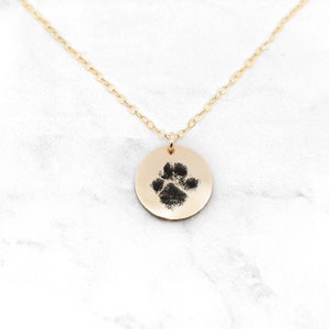 May include: Gold necklace with a round pendant featuring a black paw print.