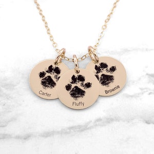 May include: Gold necklace with three round charms featuring paw prints and the names Carter, Fluffy, and Brownie.