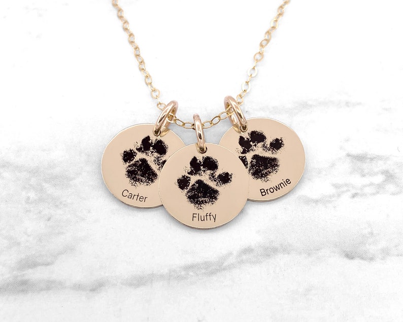 May include: Gold necklace with three round charms featuring paw prints and the names Carter, Fluffy, and Brownie.