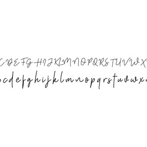 May include: A handwritten alphabet in a cursive font. The letters are in uppercase and lowercase.