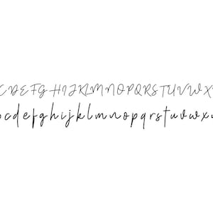 May include: A handwritten alphabet in a cursive font. The letters are in uppercase and lowercase.