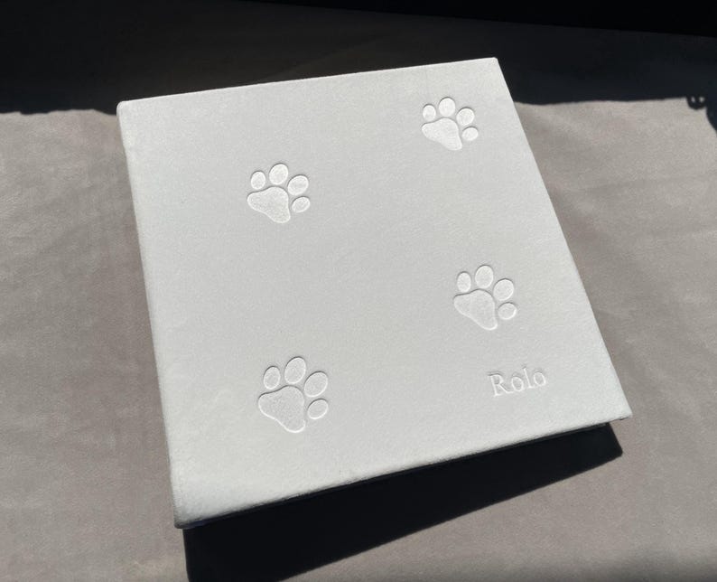 Pode incluir: Um &aacute;lbum branco quadrado com quatro pegadas em relevo e o nome "Rolo". O &aacute;lbum &eacute; provavelmente projetado para fotos ou mem&oacute;rias de animais de estima&ccedil;&atilde;o.