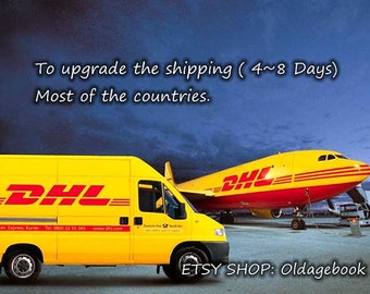 Only for Upgrade to the DHL/FedEx/4PX Express Shipping ( 4~8 business days )