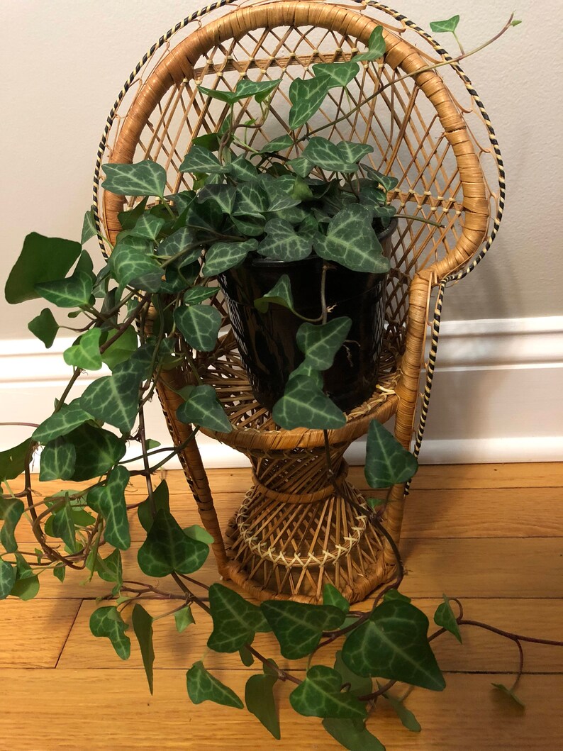 Wicker Peacock Vintage Chair Rattan Plant Holder Doll S Chair