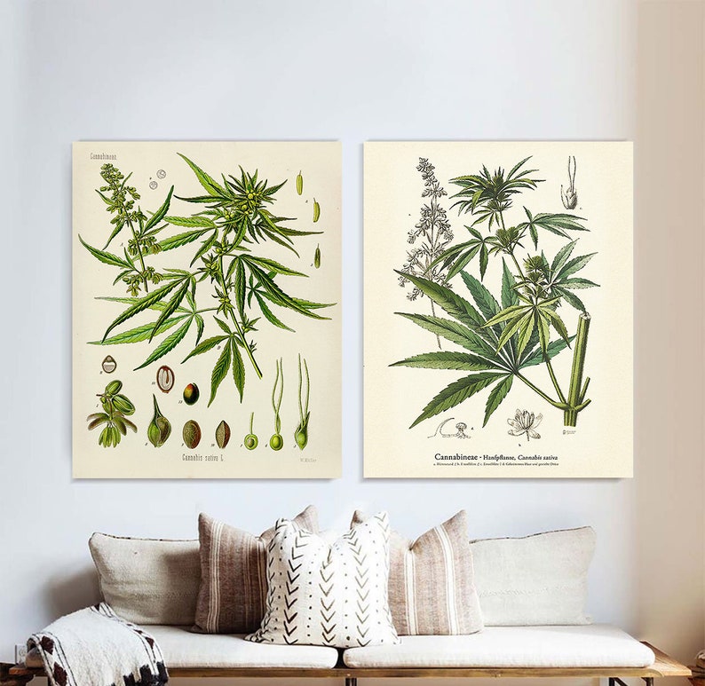 Cannabis poster Cannabis Sativa Vintage PosterMarijuana Etsy