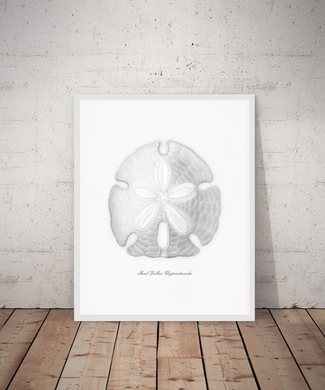 Sand Dollar Print Abstract Sand Dollar Print Sand Dollar | Etsy