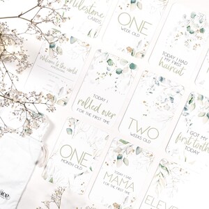 Luxe Baby Milestone Cards, Botanical Milestone Cards, Nature Baby Cards, Baby Milestone Cards