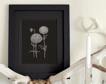 Dahlia Botanical Freehand Ink Drawing Limited Edition Print, Signed, Numbered