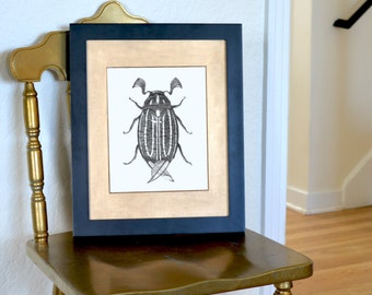 Striped June Beetle Freehand Ink Drawing Limited Edition Print, Signed, Numbered 8"x10"