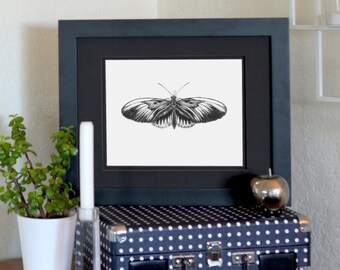 Piano Keys Butterfly Freehand Ink Drawing Limited Edition Print, Signed, Numbered 8" x 10"