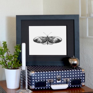 Klaviertasten Schmetterling, Freihand Tuschezeichnung, limitierter Druck, signiert, nummeriert, 21x25cm
