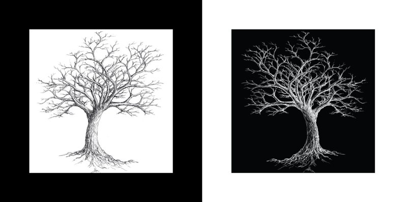 Winter Tree Duo Freehand Ink Drawing Limited Edition Print Set of Two, Signed, Numbered, 8 in x 8 in image 2