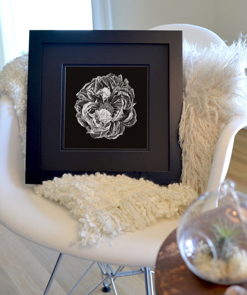 Peony in full bloom Freehand Ink Drawing, Signed, Numbered, Limited Edition Giclee Print on Fine Art paper image 1