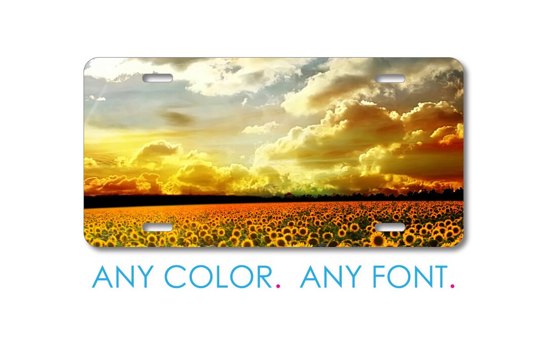 Custom License Plate Front Car Tag, Aluminum or Plastic Personalized
