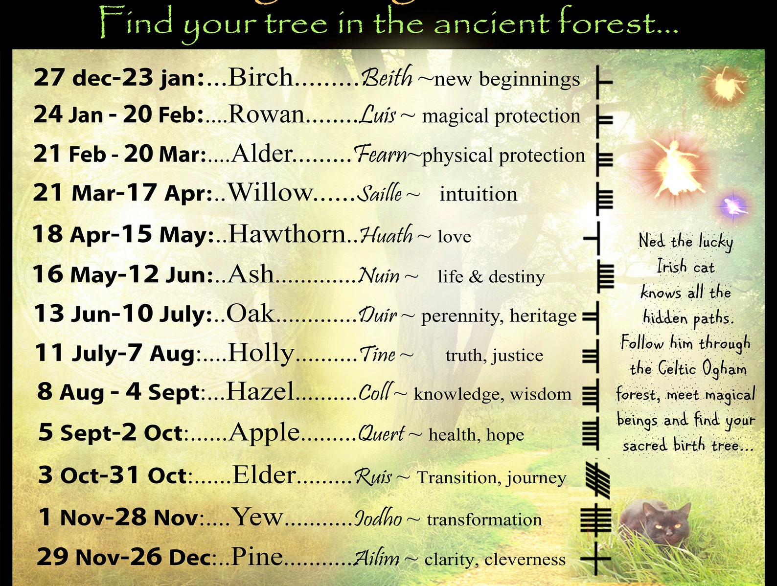 A OGHAM BIRTH TREE Etsy A OGHAM BIRTH TREE Etsy