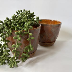 Op de afbeelding: Twee bruine keramische bloempotten met een ruitpatroon. Eén pot bevat een hangende groene plant. De potten hebben een glanzende afwerking en een kleine schotelbodem. De binnenkant van de potten is een lichtere bruintint.