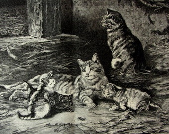 Amazing  cats print - antique original cats with grasshopper engraving,- 1877 curious funny pets - oddity victorian pet engraving -