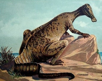 Antique gorgeous dinosaur print engraving, 1900 original vintage  color lithograph of hadrosaurus, prehistoric animal extintc reptile