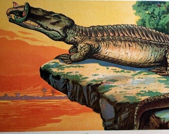 Antique dinosaur print engraving, 1900 original color lithograph of Phytosaurus, prehistoric animal reptile crocodile. Heinrich Harder