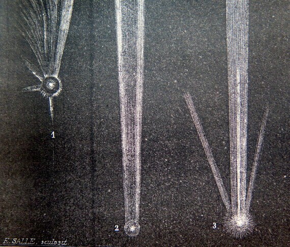stars heavens cosmos plate celestial solar system. 1866 Antique astronomy comet shapes print original kinds comets engraving