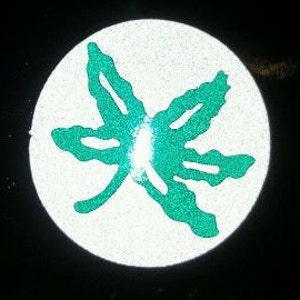 May include: A white round sticker with a green outline of an Ohio State University buckeye leaf.
