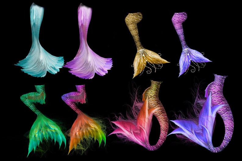 15 Mermaid Tail Overlays and Background Etsy