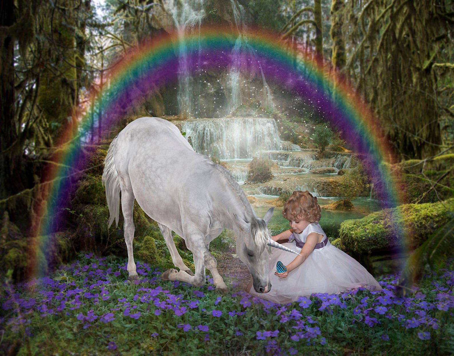 Unicorn Overlays And Special Fx Etsy