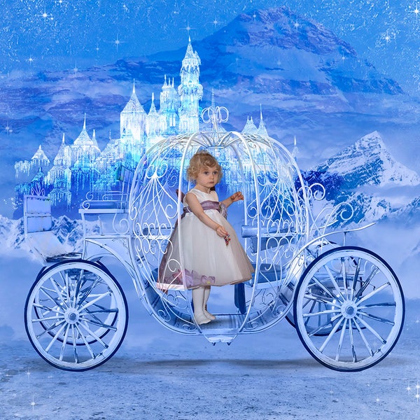 Cinderella or Princess Carriage Overlay