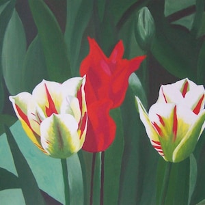 Bella armonia floreale di tulipani rossi e bianchi con sottili riflessi su uno sfondo di foglie verde scuro in pittura acrilica