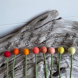 May include: Nine felt balls on green stems, arranged in a gradient from red to butter yellow. The colors are labeled: red, pumpkin, orange, coral, muted coral, peach, yellow, and butter.