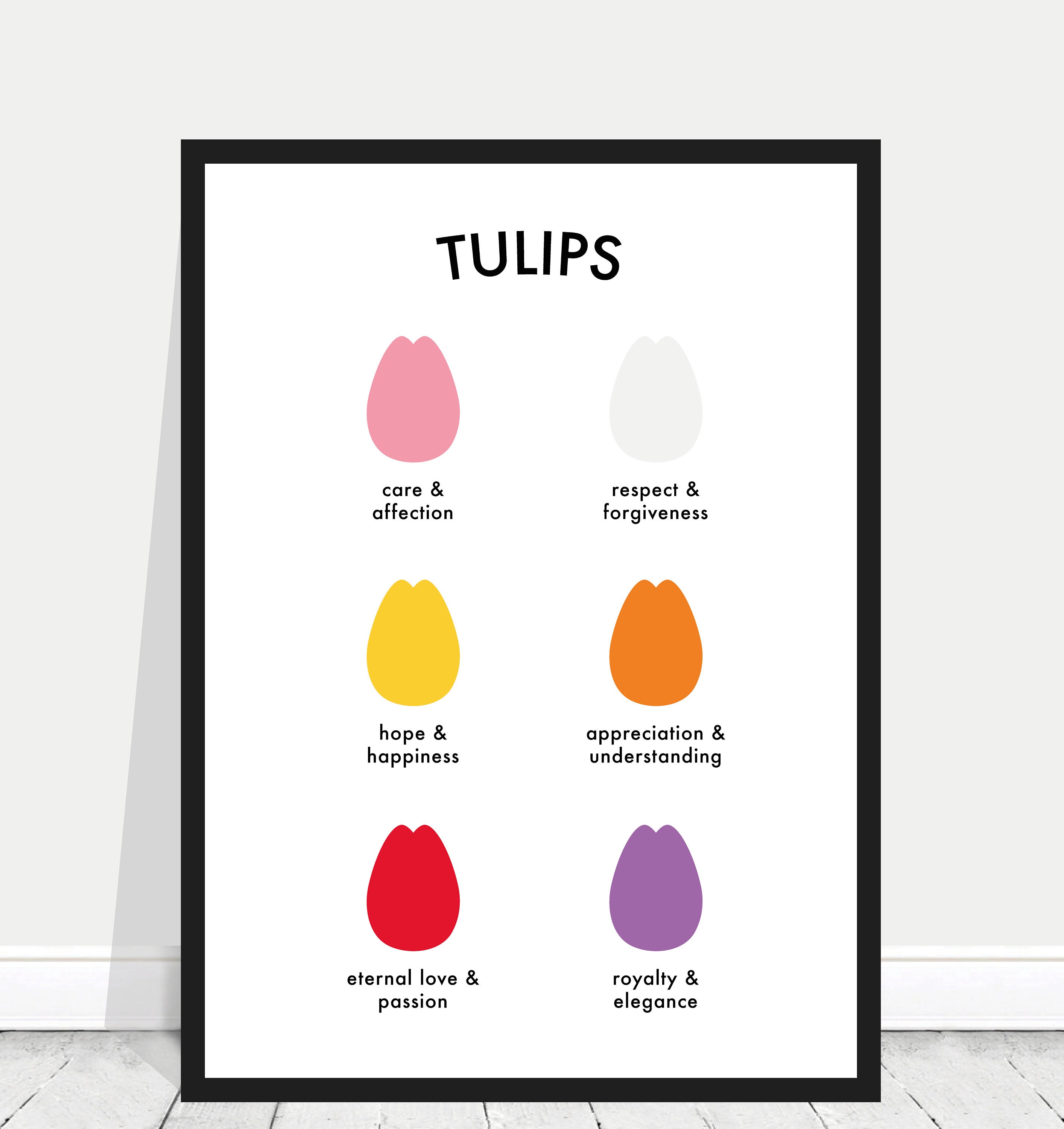 Learn All About Each Tulip Color Meaning