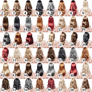 May include: A set of 60 illustrations displaying different hairstyles and hair colours. The images are numbered from 1 to 60, with a variety of shades including blonde, brown, black, red, and grey. Each illustration shows the back of a person.