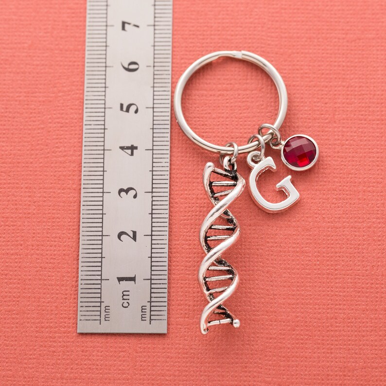 Personalised DNA Double Helix Keyring Scientist Science Gift Etsy UK