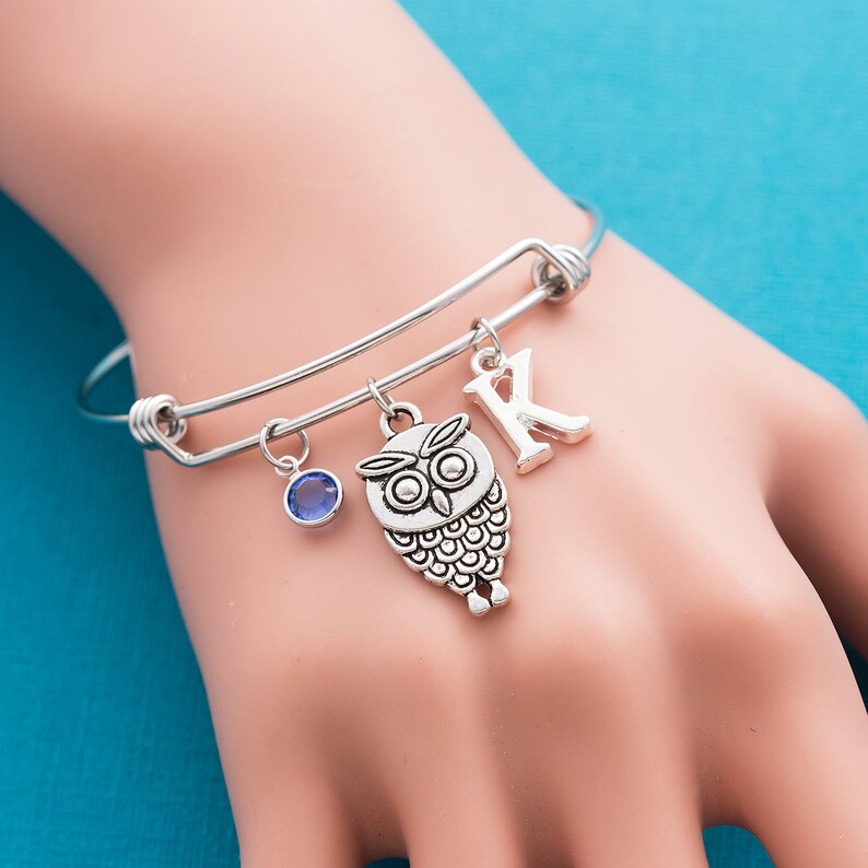 Personalized Owl Bracelet Hypoallergenic Steel Bangle Owl Etsy UK