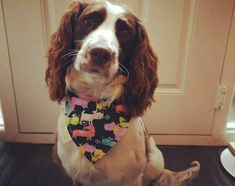 Pet Bandana with Poo Bag pocket on the underside of 3 sizes - 4 sizes 4 designs- pet accessory - pet gift