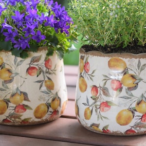 Puede incluir: Dos macetas de cerámica con base color crema y un patrón repetitivo de limones amarillos y frutos rojos sobre ramas verdes. La maceta de la izquierda contiene flores moradas en forma de campana y la de la derecha una planta verde.