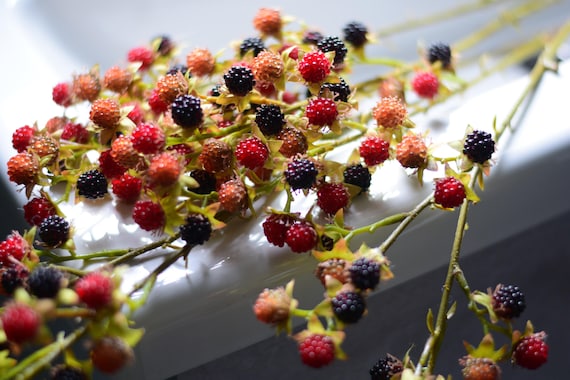Artificial Blackberry Stem, Rustic Home Decor, Lifelike Faux Berries (62cm)