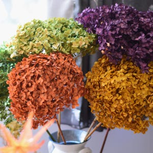 Preserved large hydrangeas ,Different colours hydrangeas,Hydrangea decor,Home decor,Preserved flowers