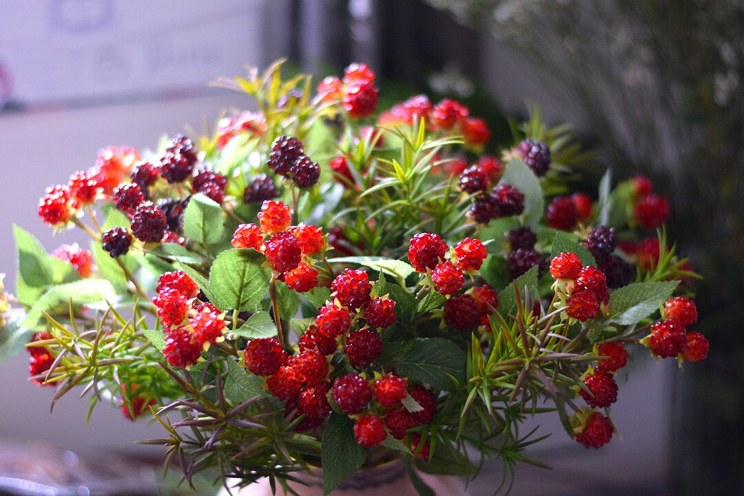Faux Raspberry Stem 38 Cm,artificial Berry, Home Decor Arrangement - Etsy