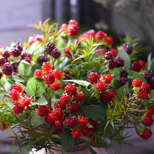 Faux Raspberry Stem,Artificial Berry, Home Decor Arrangement