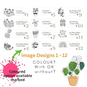 May include: A graphic featuring 12 design options, including daisies, wildflowers, leaves, plants, a Kombi van, mountains, and a rainbow. The text asks about color options, marked with a pink dot. A large potted plant is also shown.
