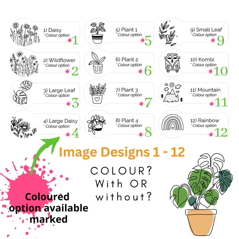 May include: A graphic featuring 12 design options, including daisies, wildflowers, leaves, plants, a Kombi van, mountains, and a rainbow. The text asks about color options, marked with a pink dot. A large potted plant is also shown.