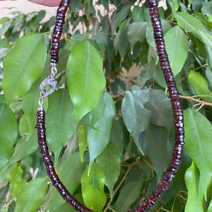 May include: A deep red gemstone necklace with a silver clasp. The necklace features small, square-cut stones. The clasp is decorative with a small, pink stone. The necklace is shown against a background of green leaves.
