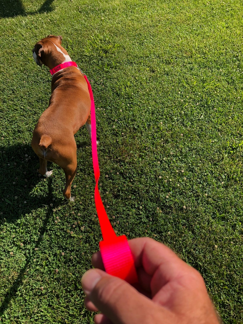 6 ft Dog leash dog tether k9 restraint system.pet Etsy