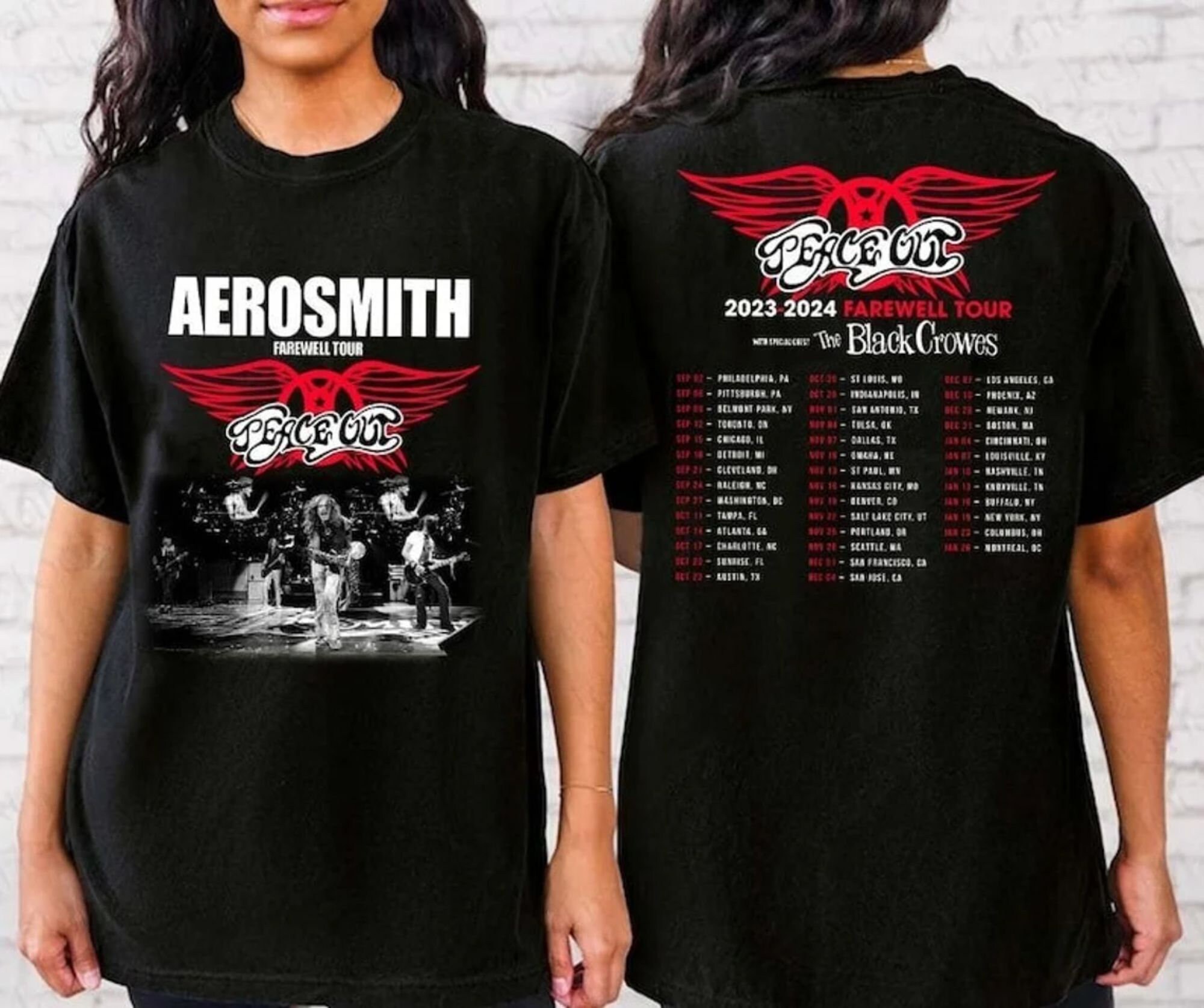 Aerosmith 2023 2024 Peace Out Farewell Tour Band Photo Shirt, Aerosmith