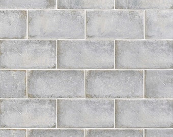 4.5&quot; x 9&quot; Vintage Porcelain Tiles BR