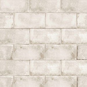 4.5" x 9" Vintage Porcelain Tiles BR