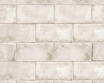 4.5&quot; x 9&quot; Vintage Porcelain Tiles BR